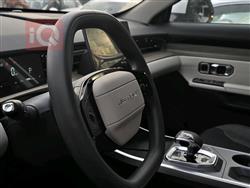 جيتور داشينج